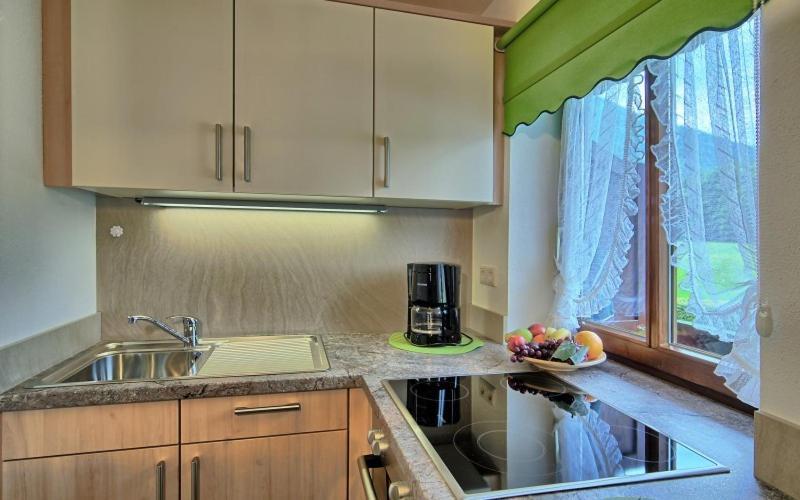 Krennlehen Apartment เชอเนา อัม เคอนิกเซ ภายนอก รูปภาพ
